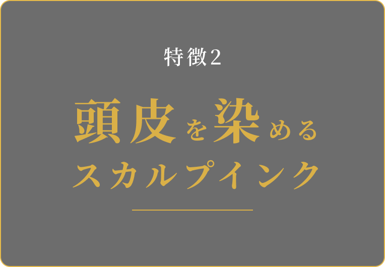 特徴2 頭皮を染めるスカルプインク